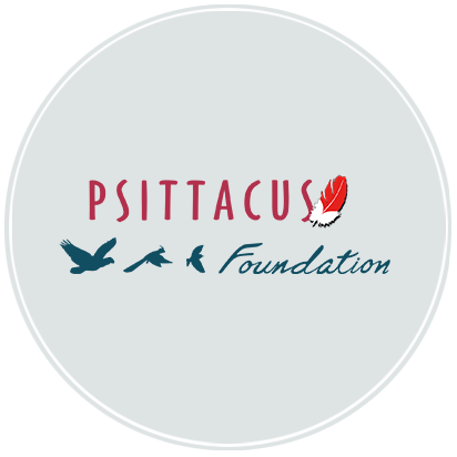 Psittacus Store